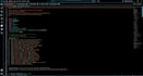 perform a professional website security assessment