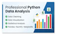 analyze and visualize data using python