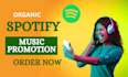 do USA spotify stream follower, spotify music promotion