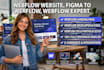 build a professional webflow website as your webflow expert