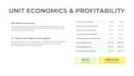 create a professional financial model