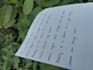 write beautiful handwritten letters and cards