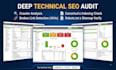 audit the website professionally