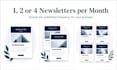 plan write and manage your business newsletter