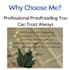 proofread and edit your resume