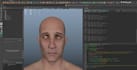 create 52 arkit blendshape, facial rigging in blender, apple arkit, mocap