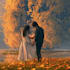 do romance book cover romance character design art