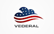 create patriotic and political logo