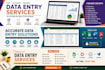 do accurate data entry, copy paste and web search
