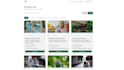 develop a custom full stack web application
