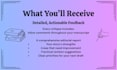 provide a developmental critique of your novel