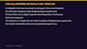write viral video scripts