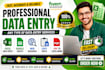 do data entry, copy paste, web research, and excel tasks
