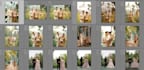 professionally edit and retouch wedding photos