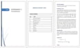 prepare research reports and executive summaries