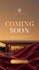 design modern canva posts, flyers, posters, promo graphics