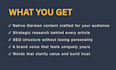 write compelling german SEO blog posts and articles