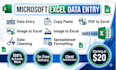 excel data entry and copy paste tasks