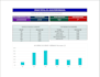 create a professional excel dashboard and data anaysis