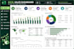 do expert excel data formatting and dashboards
