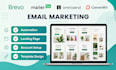 mailerlite automation ,campaigns mailerlite landing page mailerlite setup