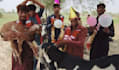 wish funny happy birthday video