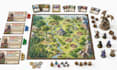 design your board game, cards and rulebook from scratch