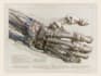 draw professional medical illustrations