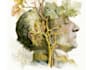 create anatomy, medical, and scientific illustrations