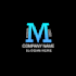 create a professional custom logo design