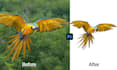 do feather masking, background removal and natural shadow