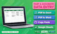 do data entry, PDF to exel, PDF to word, exel working and typing working