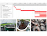 prepare a feasibility study for your hydroponic or vertical farm