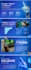 design professional canva presentations and ppts