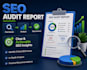 do a professional SEO website audit