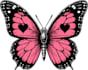 manually vector trace, redraw and convert logo to ai, eps, svg