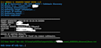 conduct comprehensive network penetration testing and vulnerability asses