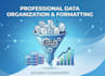 provide highly accurate data entry and capture services