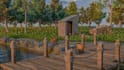 create realistic unreal engine environment, lighting, landscape and vegetation