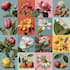 illustrate best botanical illustration