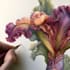 illustrate best botanical illustration