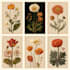 illustrate best botanical illustration