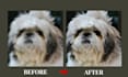 upscale, enhance, and fix blurry photos to HD