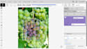 annotate your images using cvat