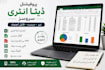 do accurate data entery copy paste excal and pdf conversion