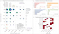 build machine learning models using python and r