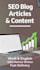 write SEO blog articles and website content in hindi and english