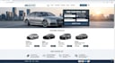 build a proffesional online store