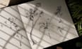 do birds sketch with unique realistic sketching style