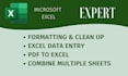 convert PDF to excel and clean up formatting professionally